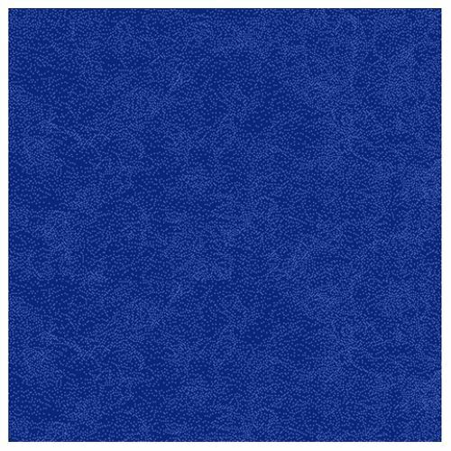 Raider Carpet Blue
