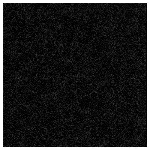 Raider Carpet Black