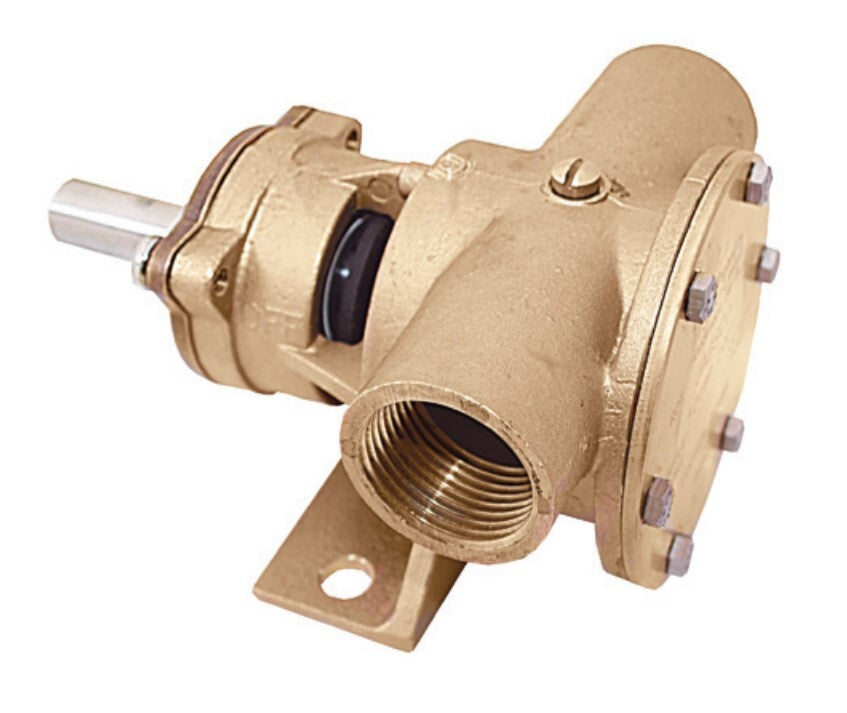 Bronze Flexible Impeller Pump 3/4" BSP