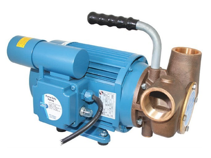 53080 Series 240 Volt AC Utility Pump