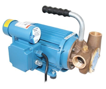 53040 Series 240 Volt AC Utility Pump