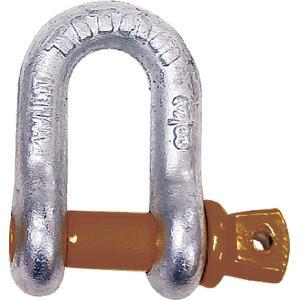 Titan Marine Chain D Shackle