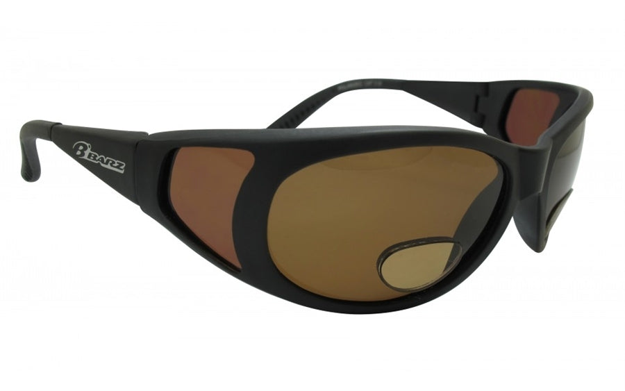 Straddie Polarised Bifocal Sunglasses