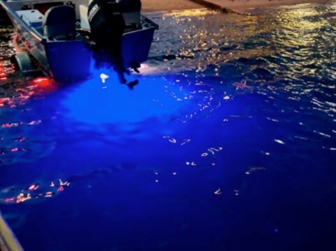 Underwater Bung Light Blue/White